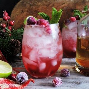 cranberry gin fizz