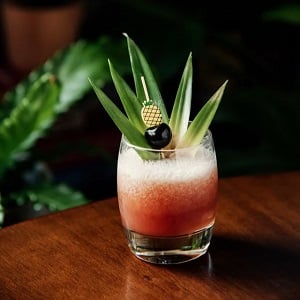 cocktail shark tooth